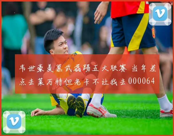 韦世豪羡慕武磊踢五大联赛 当年差点去莱万特但老卡不让我去0000644