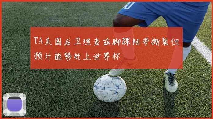 TA美国后卫理查兹脚踝韧带撕裂但预计能够赶上世界杯